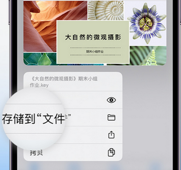 老城apple维修中心分享iPhone文件应用中存储和找到下载文件