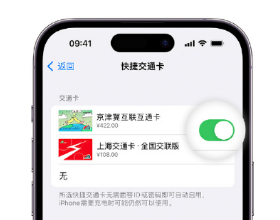 老城apple维修点分享iPhone上更换Apple Pay快捷交通卡手绘卡面 