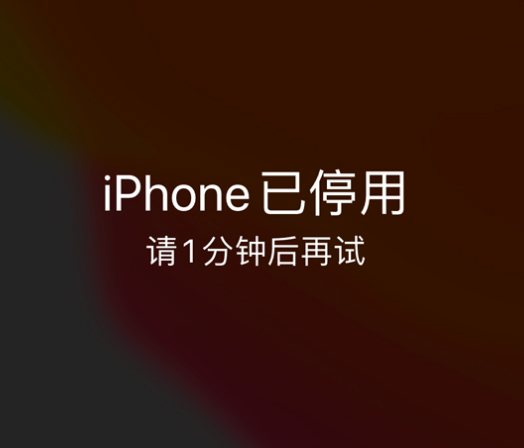 老城苹果手机维修分享:iPhone 显示“不可用”或“已停用”怎么办？还能保留数据吗？ 