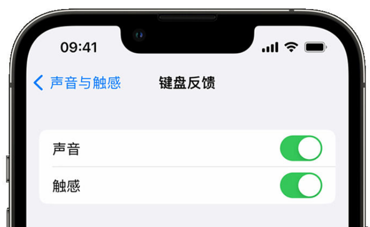 老城苹果手机维修分享iPhone 14触感键盘使用方法 