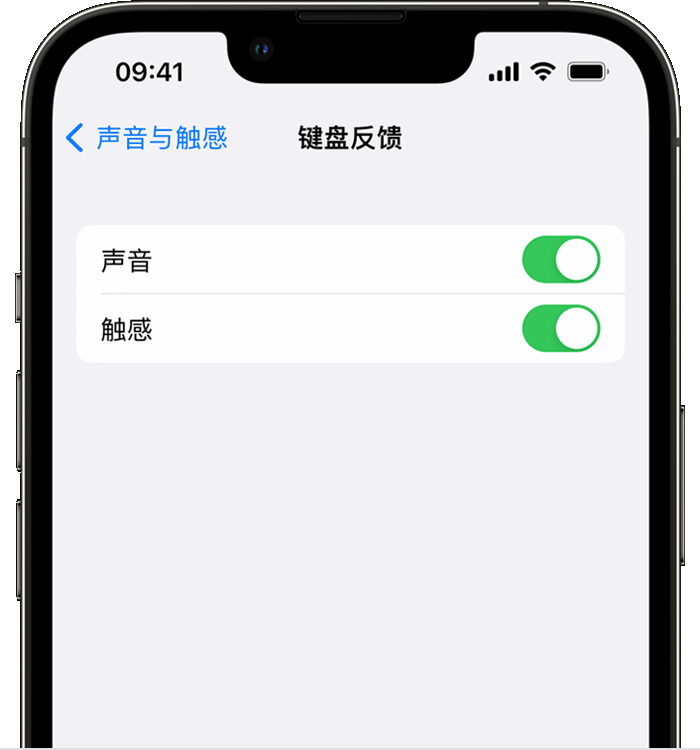 老城苹果14维修店分享如何在 iPhone 14 机型中使用触感键盘 