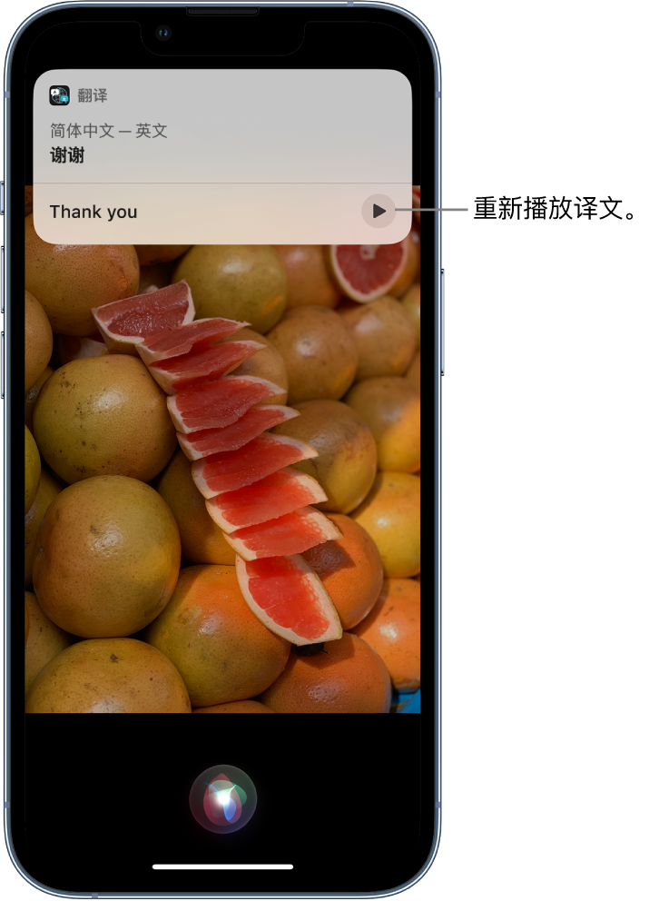 老城苹果14维修分享 iPhone 14 机型中使用 Siri：了解 Siri 能帮你做什么 