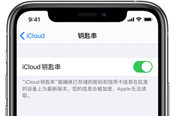 老城苹果手机维修分享在 iPhone 上开启 iCloud 钥匙串之后会储存哪些信息 