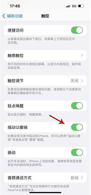 老城苹果手机维修分享iPhone手机如何设置摇一摇删除文字 